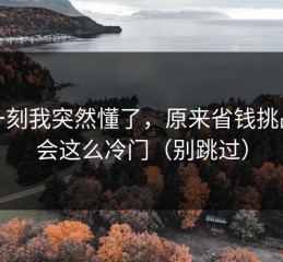 这一刻我突然懂了，原来省钱挑战也会这么冷门（别跳过）