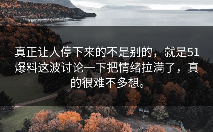 真正让人停下来的不是别的，就是51爆料这波讨论一下把情绪拉满了，真的很难不多想。-第1张图片-51吃瓜爆料网 - 今日最热猛瓜